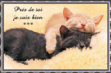partout c'est le meme amour 